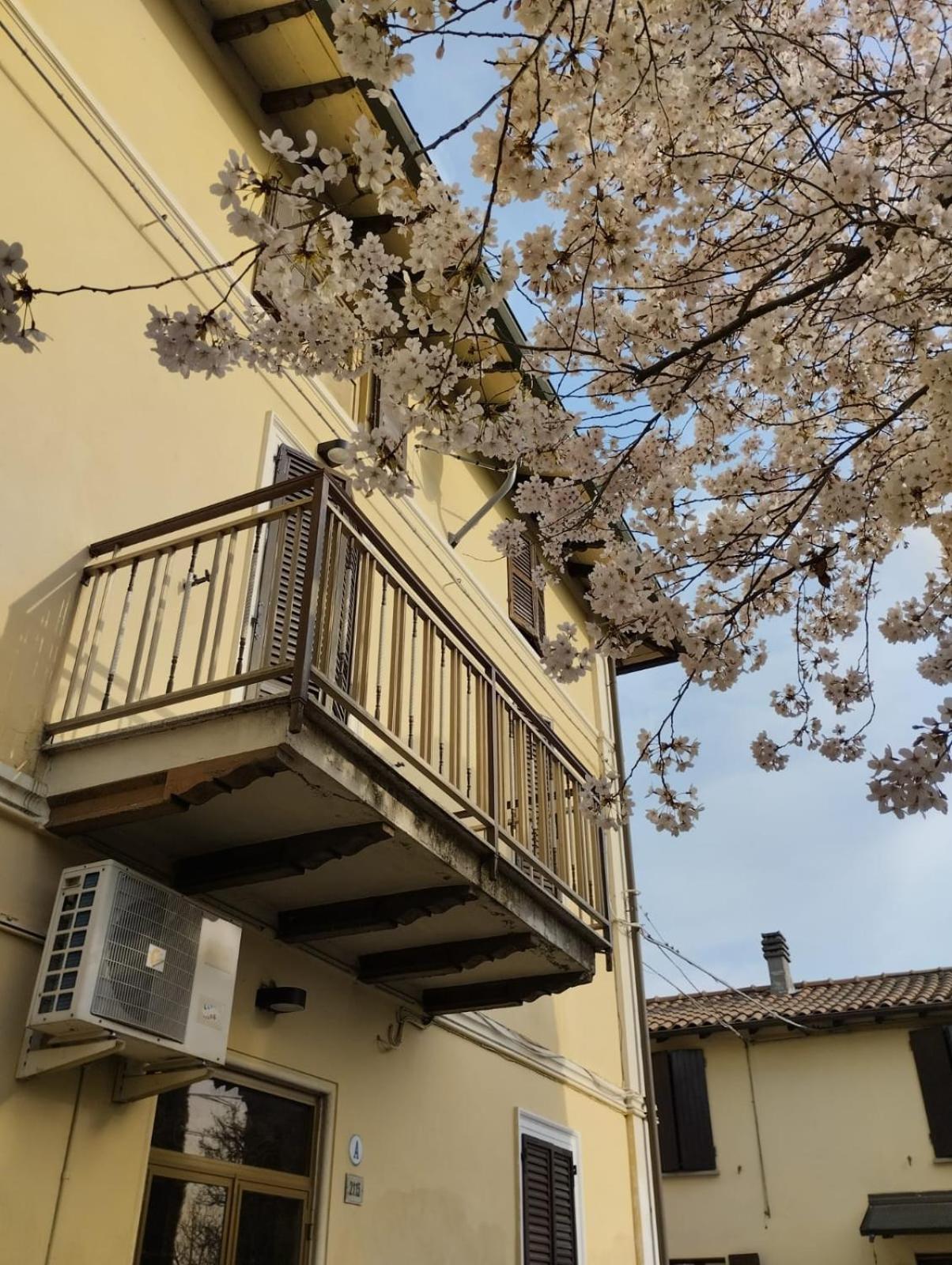 B&B La Quercia Di Mery La Villa  Luaran gambar
